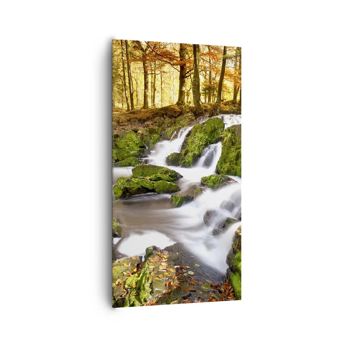 Vászonkép - Gyorsan át az őszi erdőn - 65x120 cm