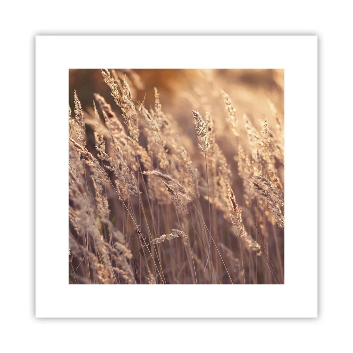 Poszter - Készen az ősz fogadására - 30x30 cm