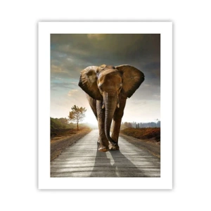 Poszter - És egyáltalán nem porcelánraktárban - 40x50 cm