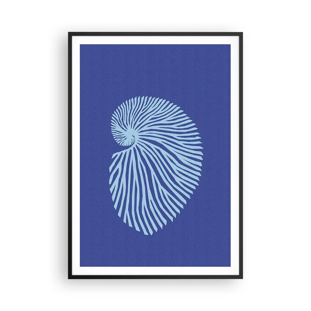 Poszter fehér keretben - Egy kagyló születése - 70x100 cm