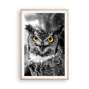 Poszter világos tölgy keretben - Semmi sem fog elbújni - 61x91 cm