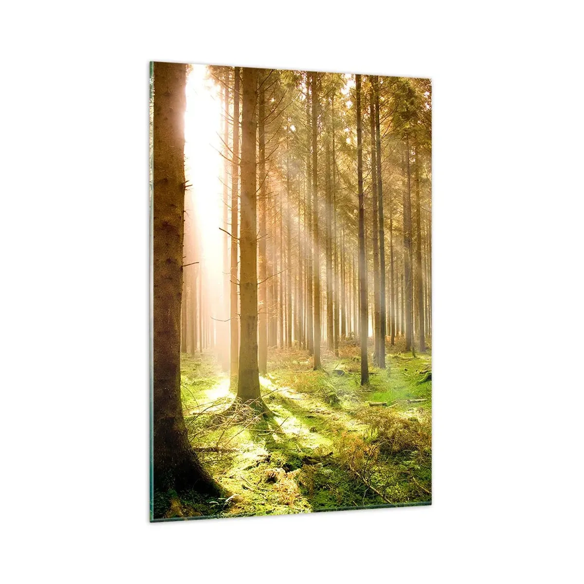 Üveg kép - Hamarosan megjelennek az álfok - 80x120 cm