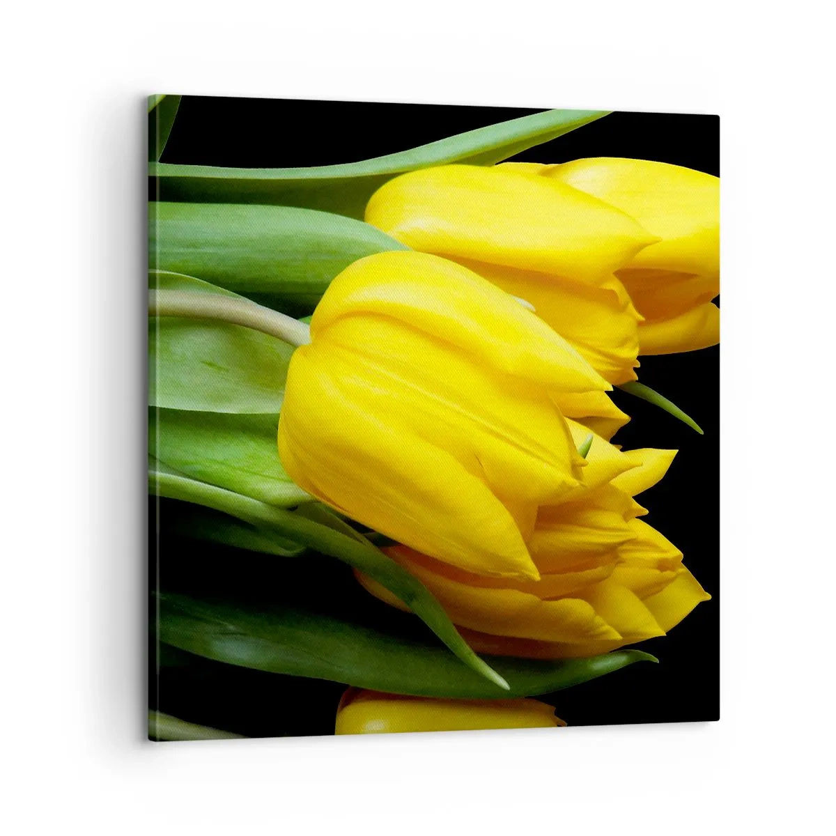 Vászonkép - Tiszta napból készült - 60x60 cm