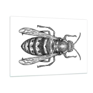 Üveg kép - Egy rovar bolygóról - 120x80 cm