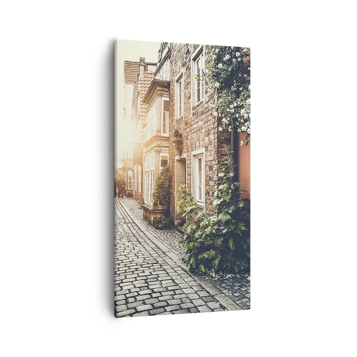 Vászonkép - Rózsa sikátor rózsaszín fényben - 55x100 cm