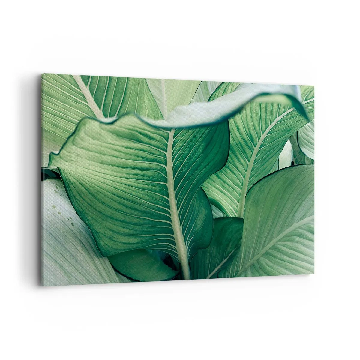 Vászonkép - Intenzíven zöld élet - 120x80 cm