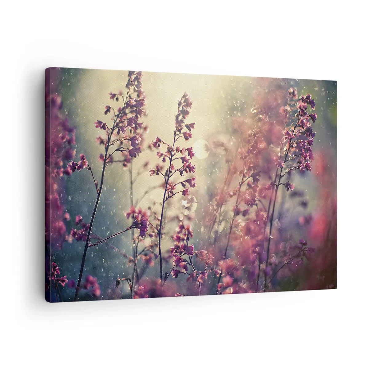 Vászonkép - Virágok a napfényben a természet hátterében - 70x50cm - Titkos kert - Modern fali dekoráció nappalihoz és hálószobához ARTTOR