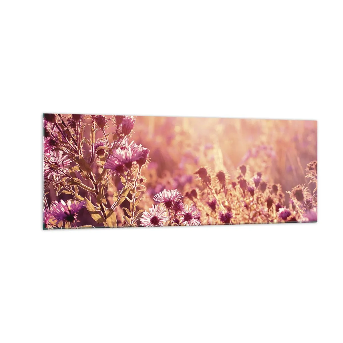 Üveg kép - A nyár elmúlás előtt - 140x50 cm