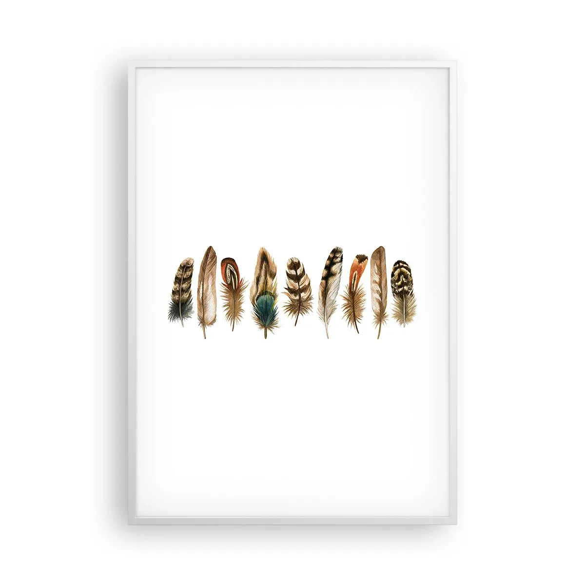 Poszter fekete keretben - Tollas variáció - 70x100 cm