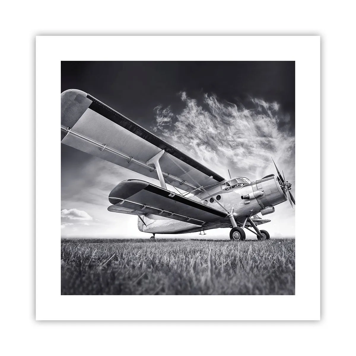 Poszter - A szárnyas vándor - 40x40 cm