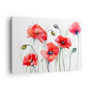 Vászonkép - Akvarell pipacsok finom háttérrel - 70x50cm - Lengyel virágok - Modern fali dekoráció nappalihoz és hálószobához ARTTOR