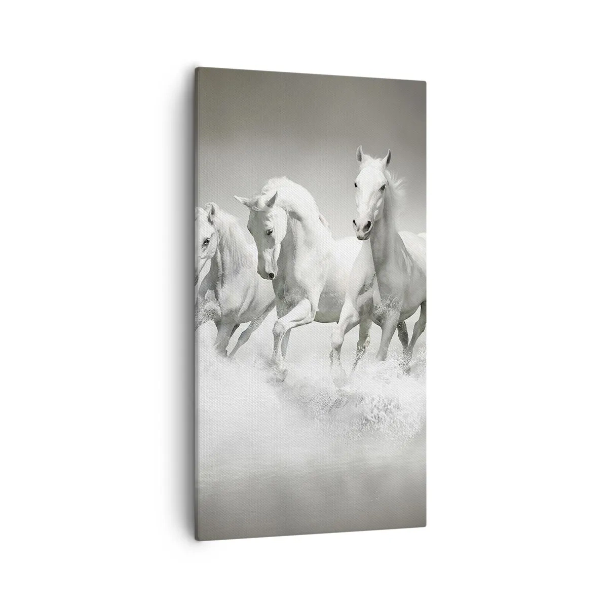 Vászonkép - Fehér őrület - 55x100 cm