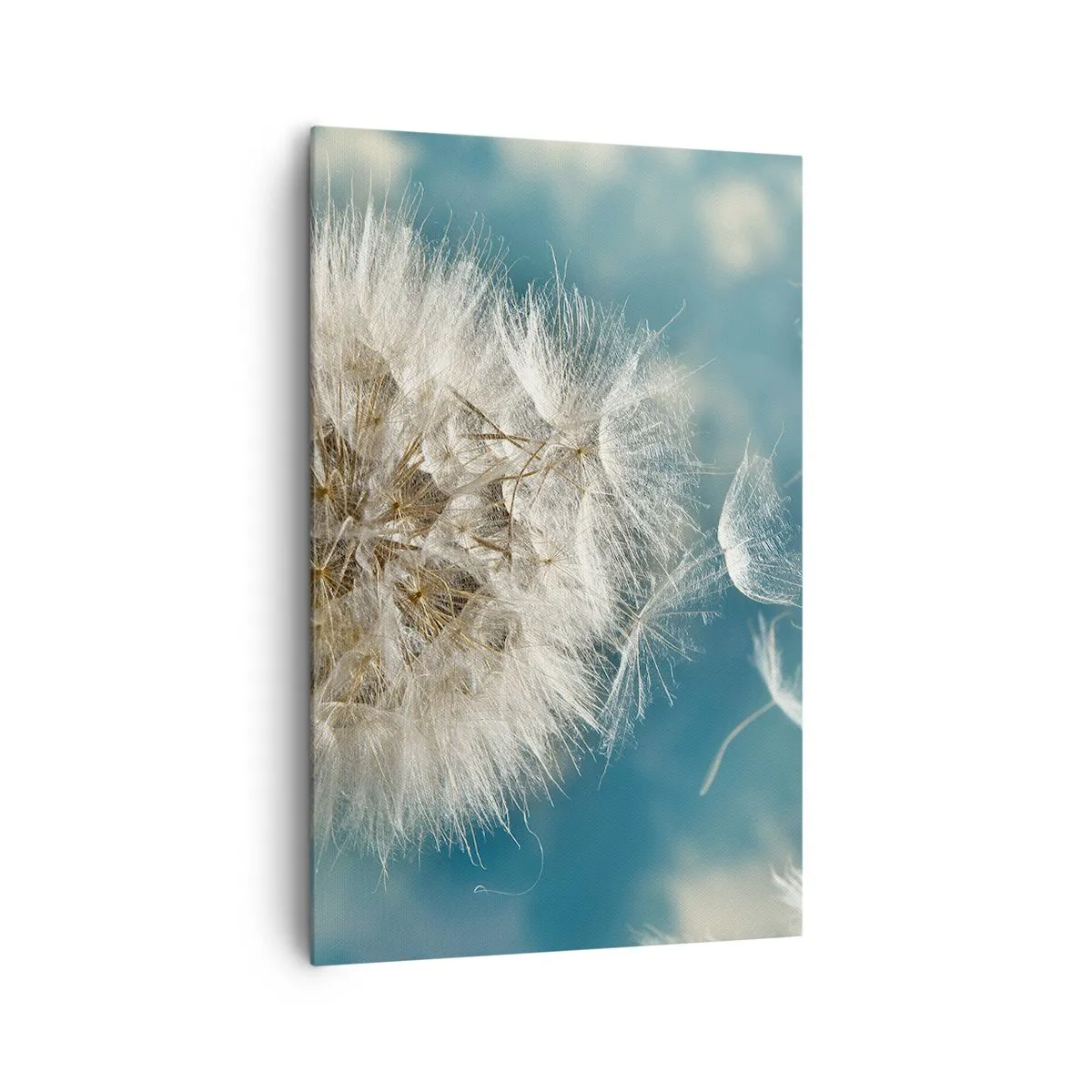 Vászonkép - Angyal lehelete - 80x120 cm