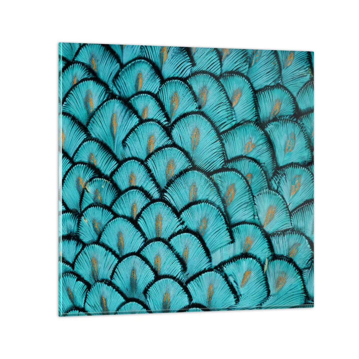 Üveg kép - A tollak nagy gálája - 30x30 cm