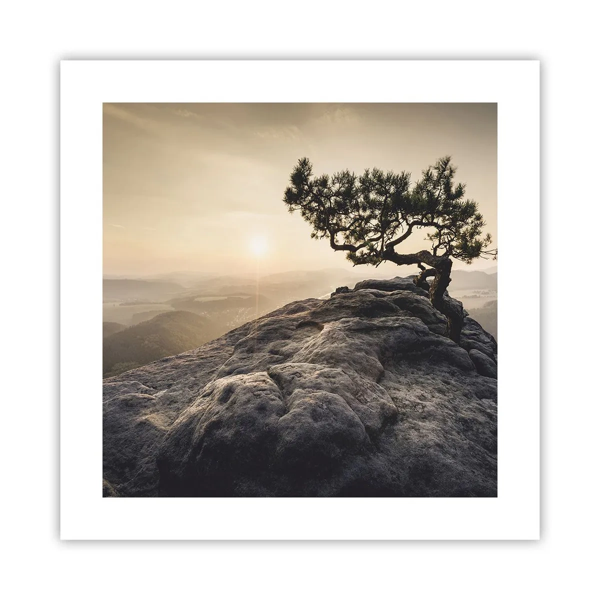 Poszter - Az élet mindig győz - 40x40 cm