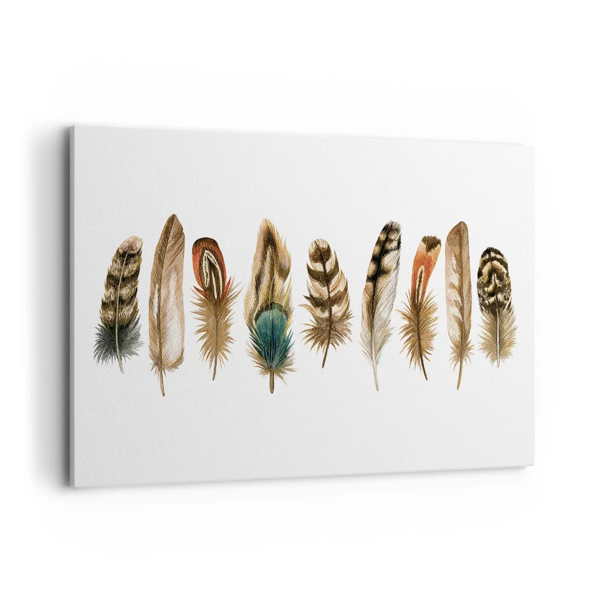 Vászonkép - Tollas variáció - 120x80 cm