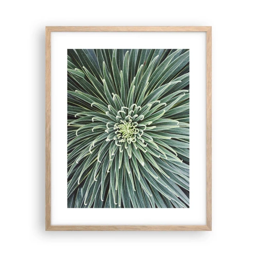Poszter világos tölgy keretben - Csillag születik - 40x50 cm