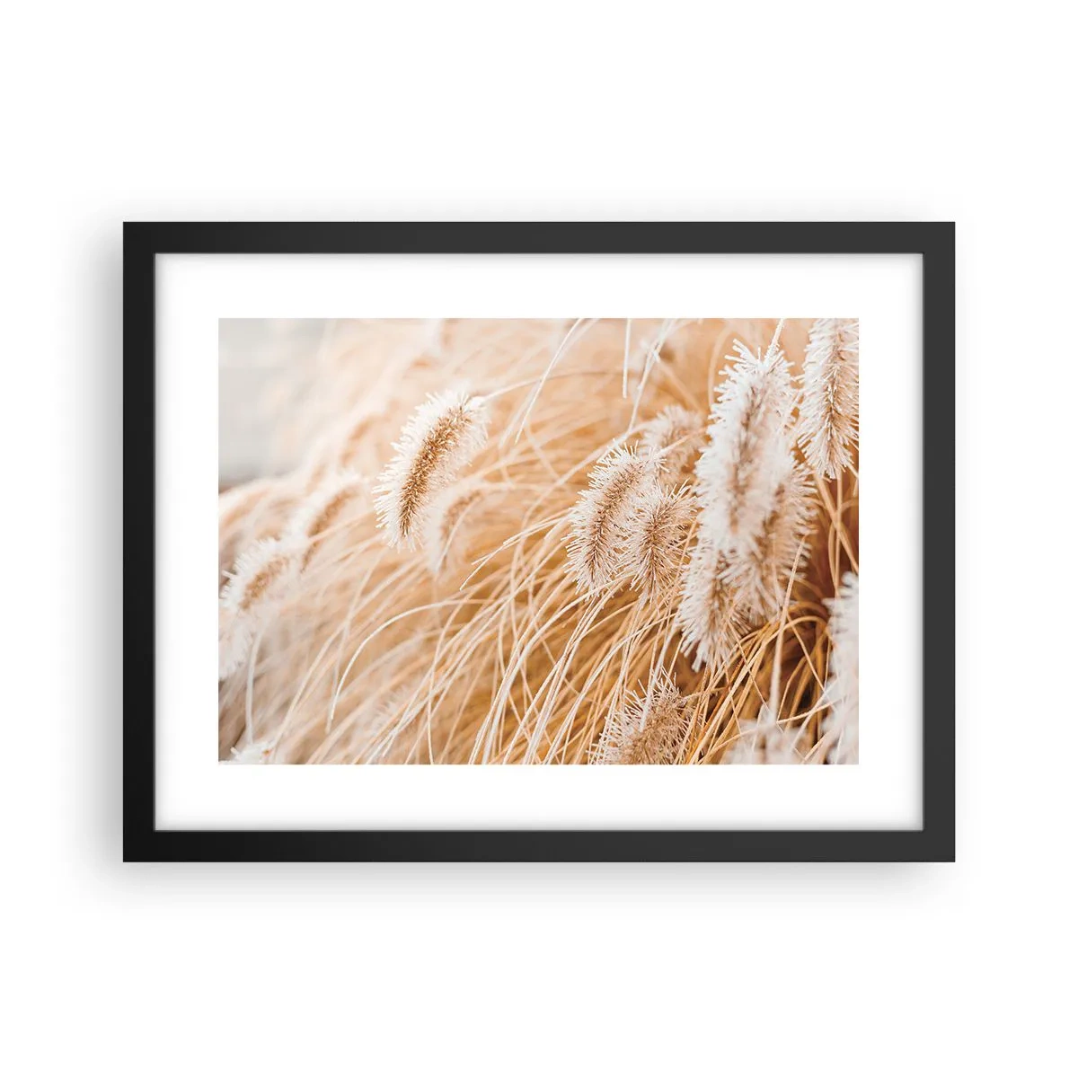 Poszter fehér keretben - A fű arany susogása - 40x30 cm