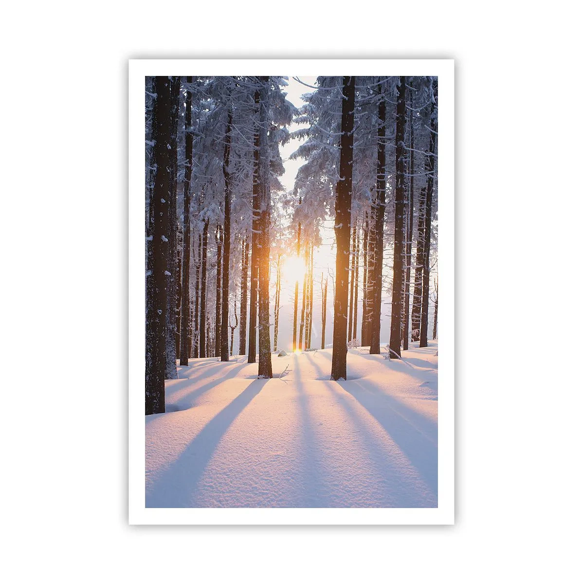 Poszter - Egyértelműen fekete-fehéren - 70x100 cm