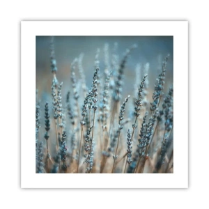 Poszter - Illatos szálak - 40x40 cm