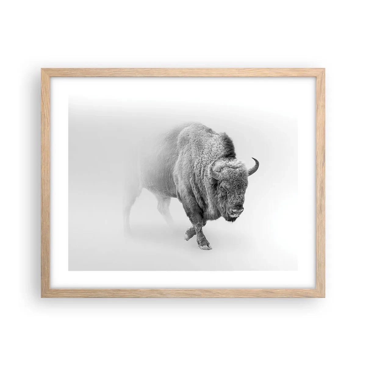 Poszter világos tölgy keretben - A préri királya - 50x40 cm