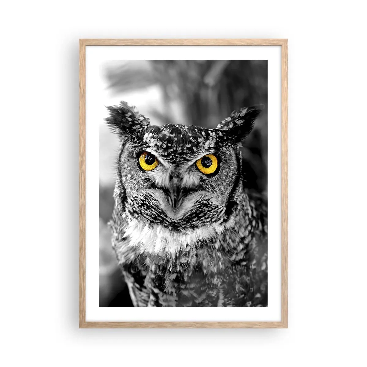 Poszter világos tölgy keretben - Semmi sem fog elbújni - 50x70 cm