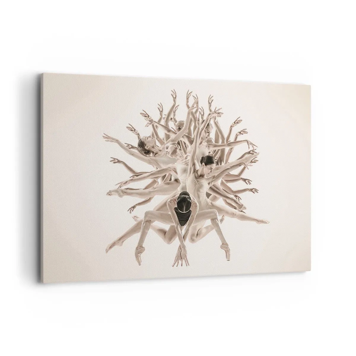 Vászonkép - Virágzás a táncban - 120x80 cm