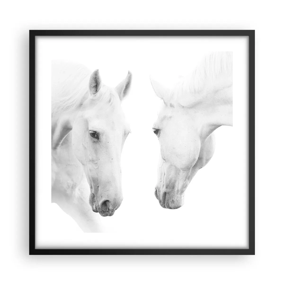 Poszter fehér keretben - Ez a barátság...? - 50x50 cm