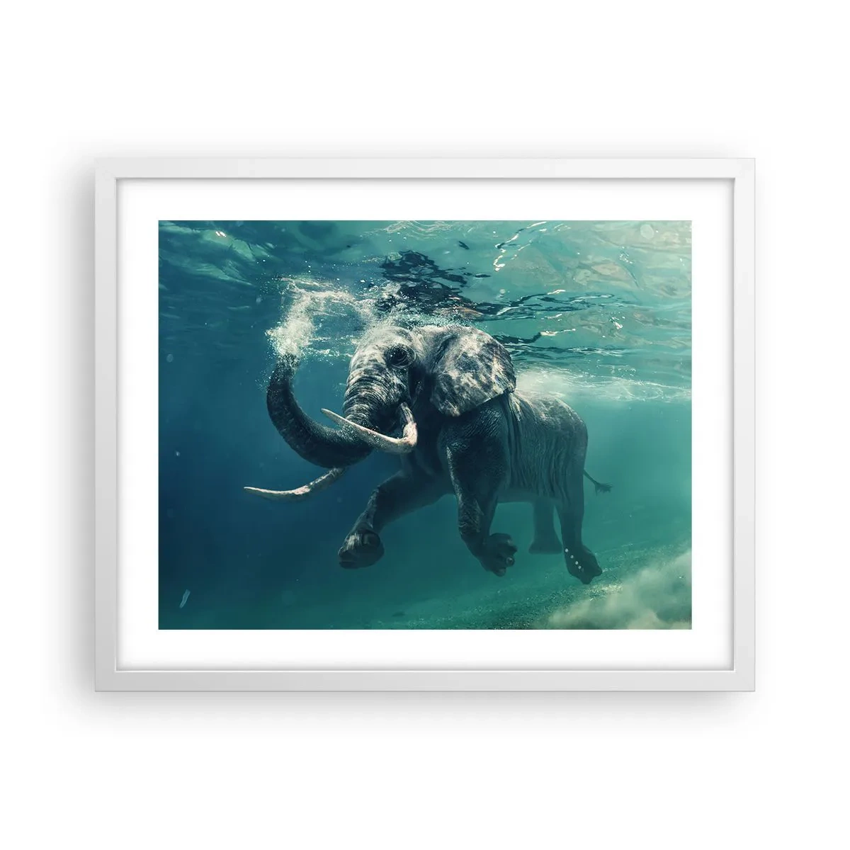 Poszter fekete keretben - Mindenki szeret úszni - 50x40 cm