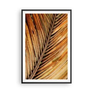 Poszter fehér keretben - Kókusz aranya - 61x91 cm