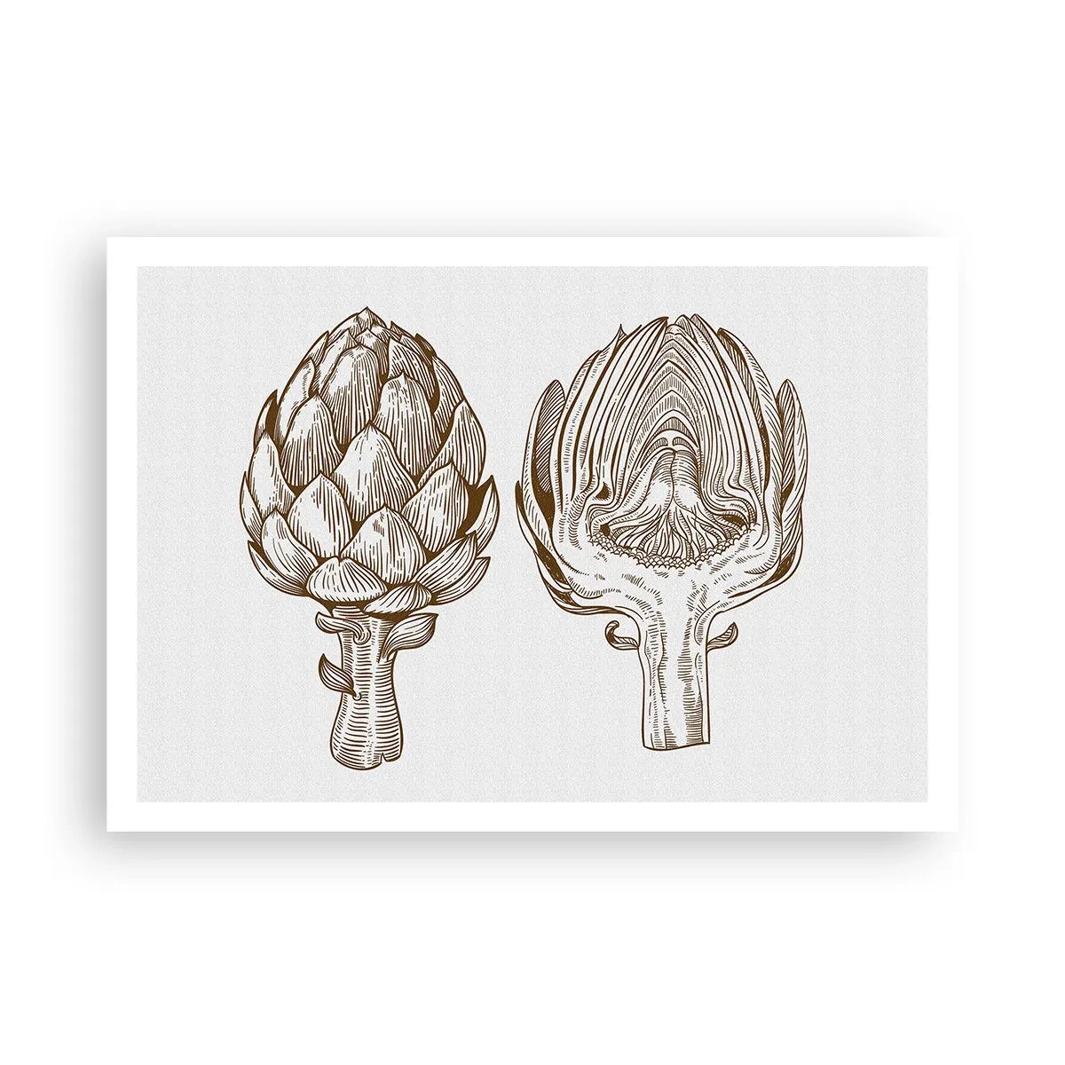 Poszter - Anatómia lecke - 100x70 cm