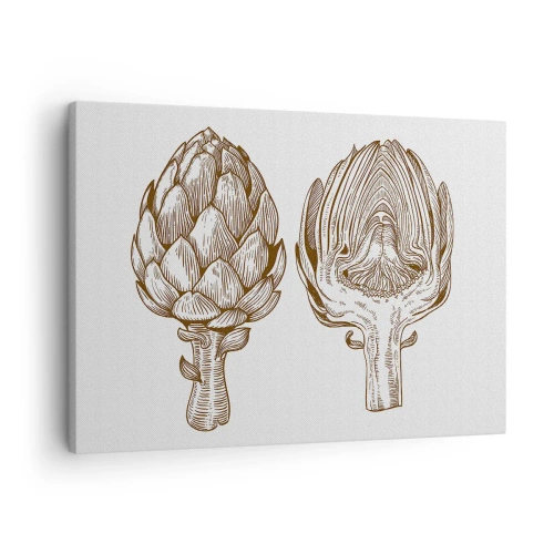 Vászonkép - Articsóka vintage rajza - 70x50cm - Anatómia lecke - Modern fali dekoráció nappalihoz és hálószobához ARTTOR
