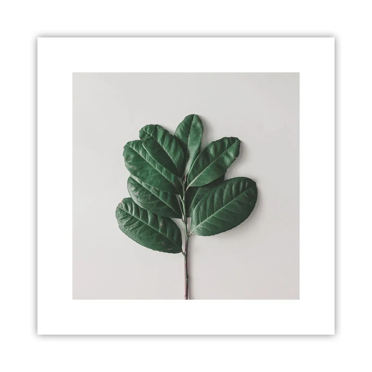 Poszter - Rajz csak a természetről - 30x30 cm