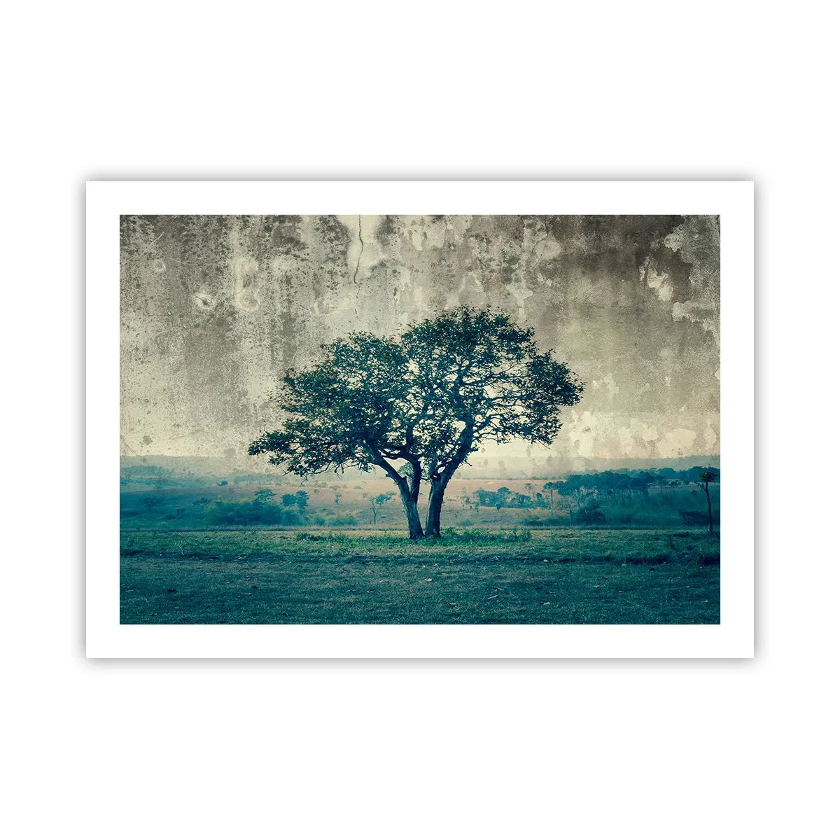 Poszter - Almafa a kék mezőn? - 70x50 cm