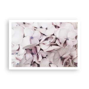 Poszter - A virágok áradatában - 100x70 cm