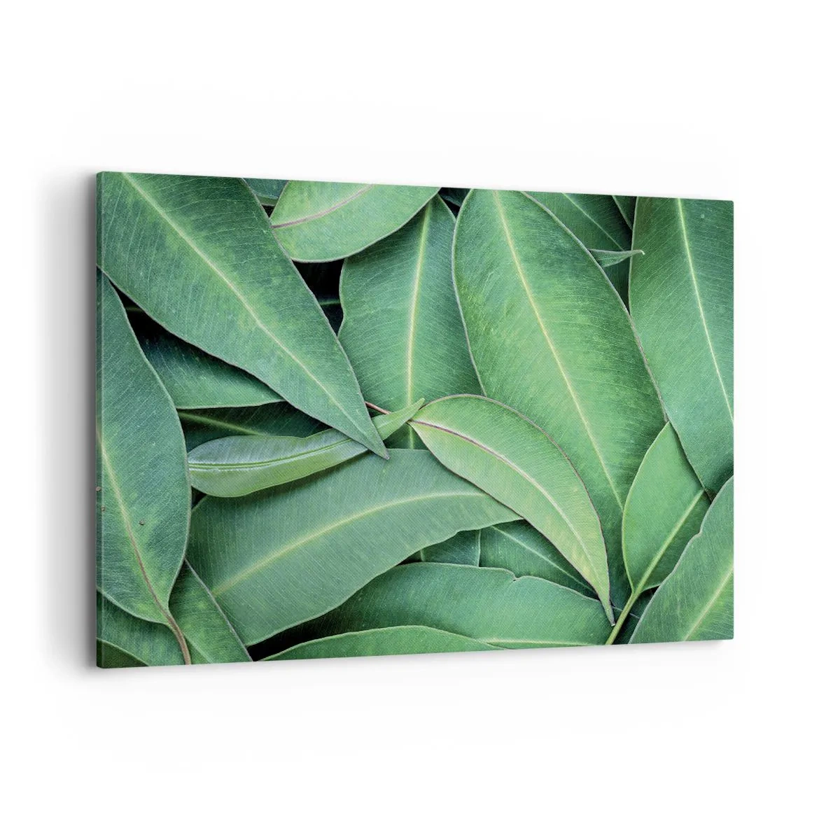 Vászonkép - Lédús és friss - 100x70 cm