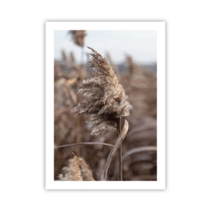 Poszter - Ideje elrepülni a széllel - 50x70 cm