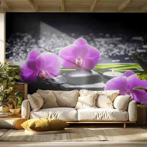 Fotótapéta Premium Canvas - Elmerülni a békében és a csendben - Virágok, Orchidea, Orchidea - 500x350 cm
