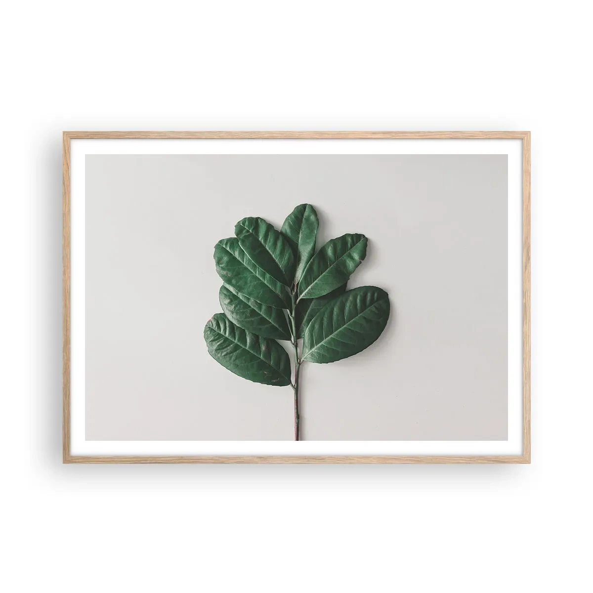 Poszter világos tölgy keretben - Rajz csak a természetről - 100x70 cm