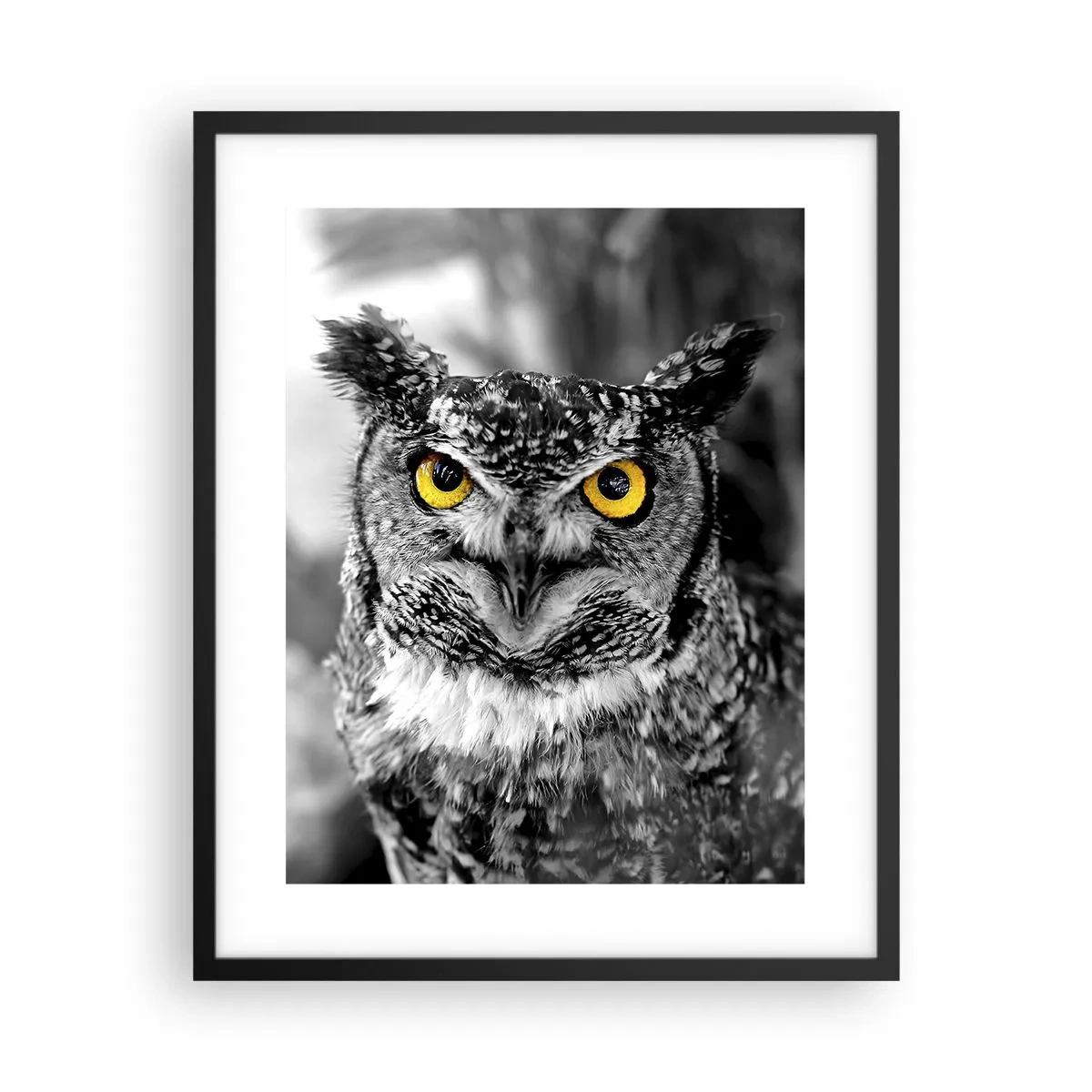 Poszter fehér keretben - Semmi sem fog elbújni - 40x50 cm