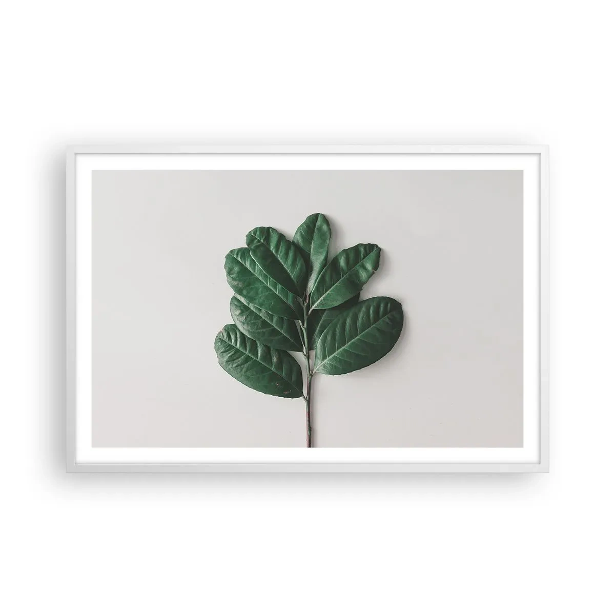 Poszter fekete keretben - Rajz csak a természetről - 91x61 cm