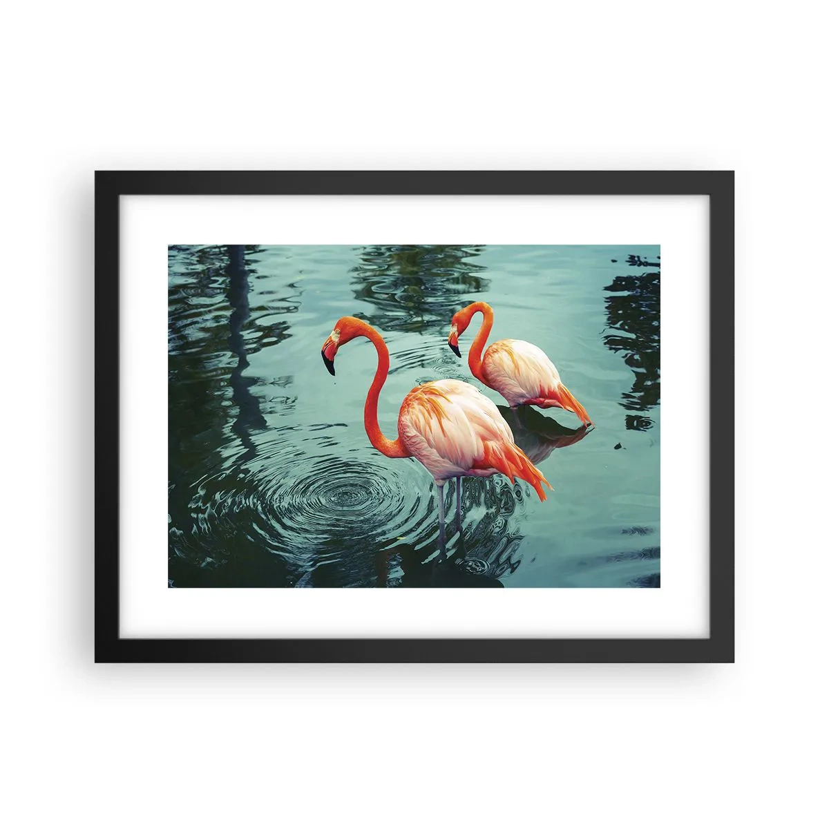 Poszter fehér keretben - Most divatban vagyunk - 40x30 cm