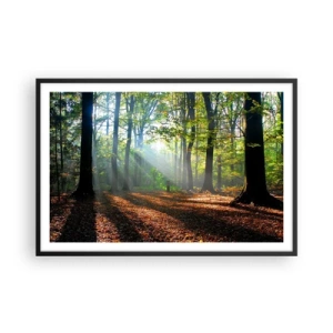 Poszter fehér keretben - Ragyogások és árnyékok - 91x61 cm