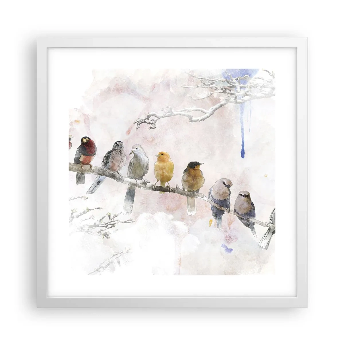 Poszter fekete keretben - Szárnyas találkozó - 40x40 cm