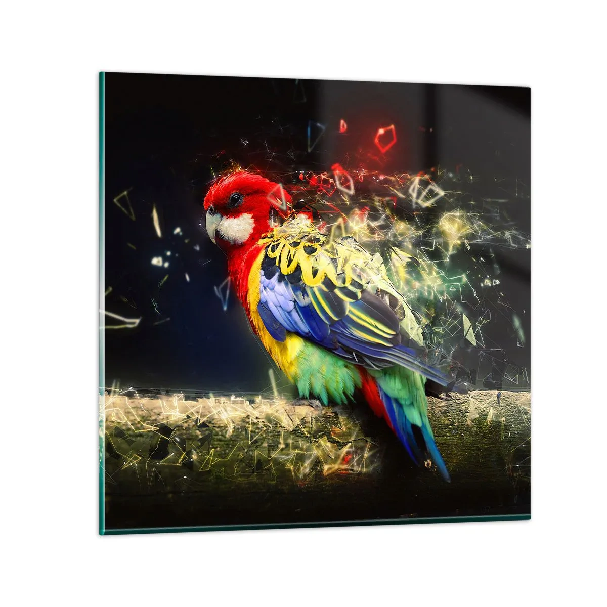 Üveg kép - A ragyogás hírnöke - 40x40 cm