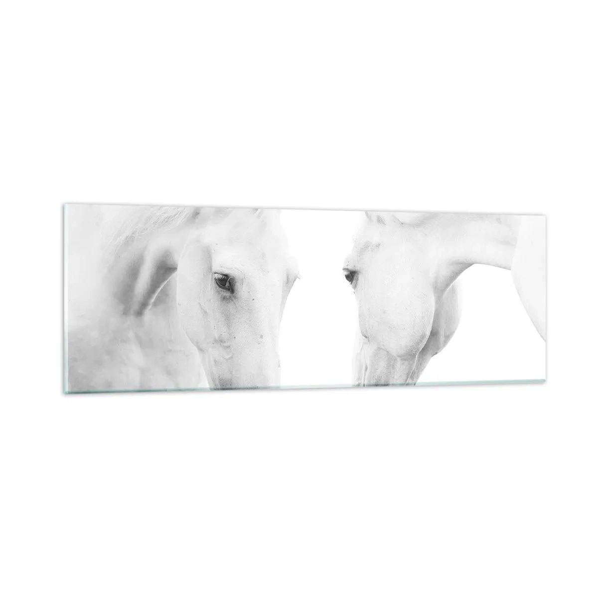 Üveg kép - Ez a barátság...? - 90x30 cm