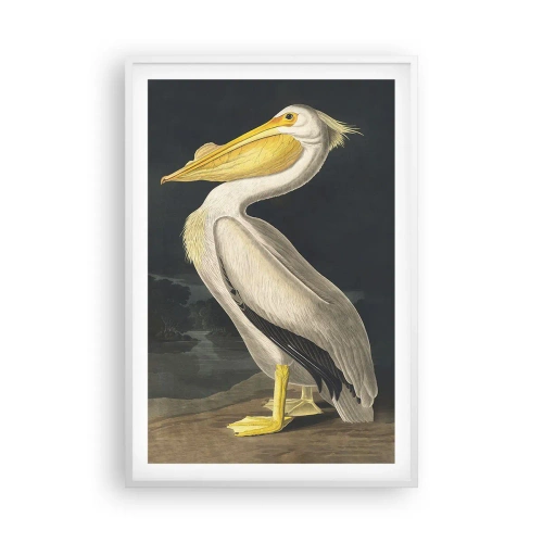 Poszter fekete keretben - Tele büszkeséggel - 61x91 cm