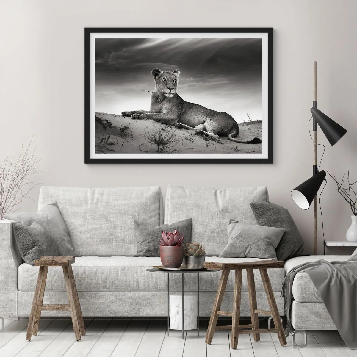 Poszter fehér keretben - A sivatagi királynő pihenése - 100x70 cm