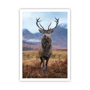 Poszter - Saját földön - 70x100 cm