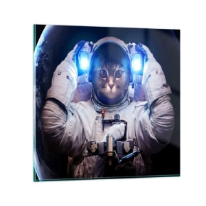 Üveg kép - Houston, baj van - 50x50 cm